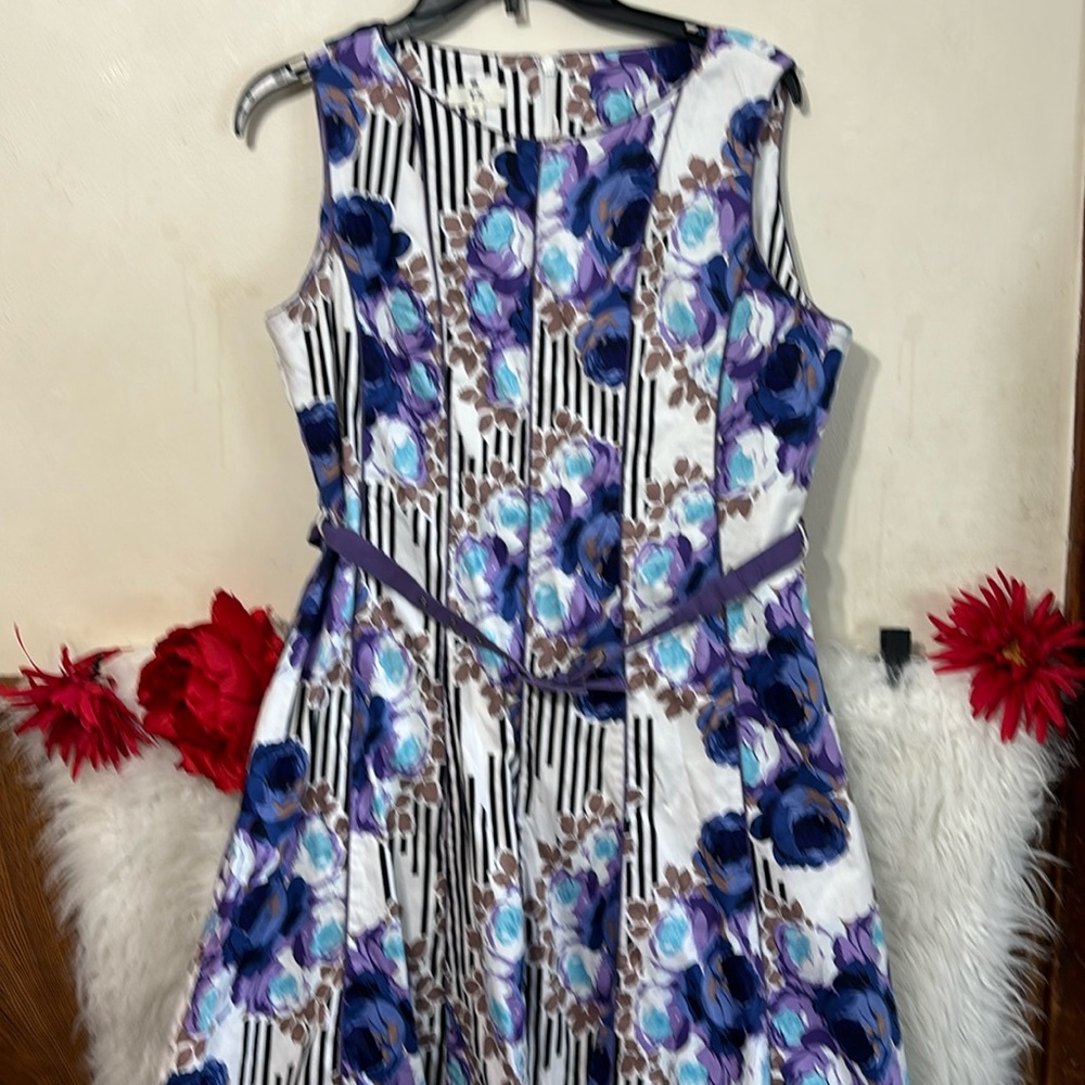 T.S. Plus Size Dress